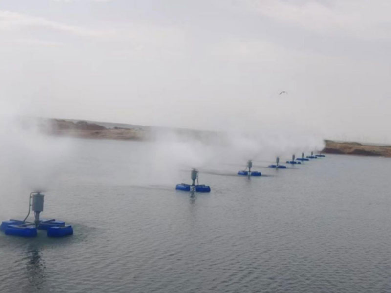 漂浮式蒸发器